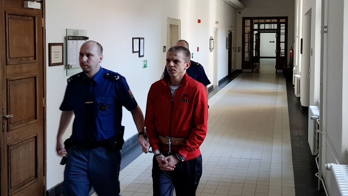 Vraždu Moldavana se snažil hodit na oběšeného svědka. Soud mu ale potvrdil 12 let